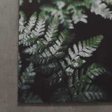 Ladda och spela upp video i Gallerivisaren, Skogsgrön Poster
