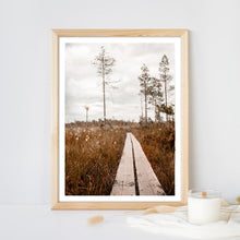 Ladda upp bild till gallerivisning, Spång genom myren till grodkällan Poster
