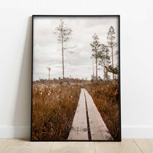 Ladda upp bild till gallerivisning, Spång genom myren till grodkällan Poster

