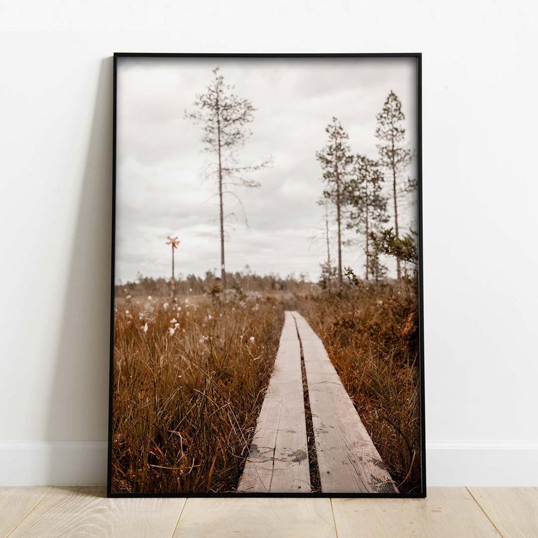Spång genom myren till grodkällan Poster
