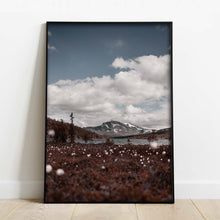 Ladda upp bild till gallerivisning, poster-fjällnatur-landskap
