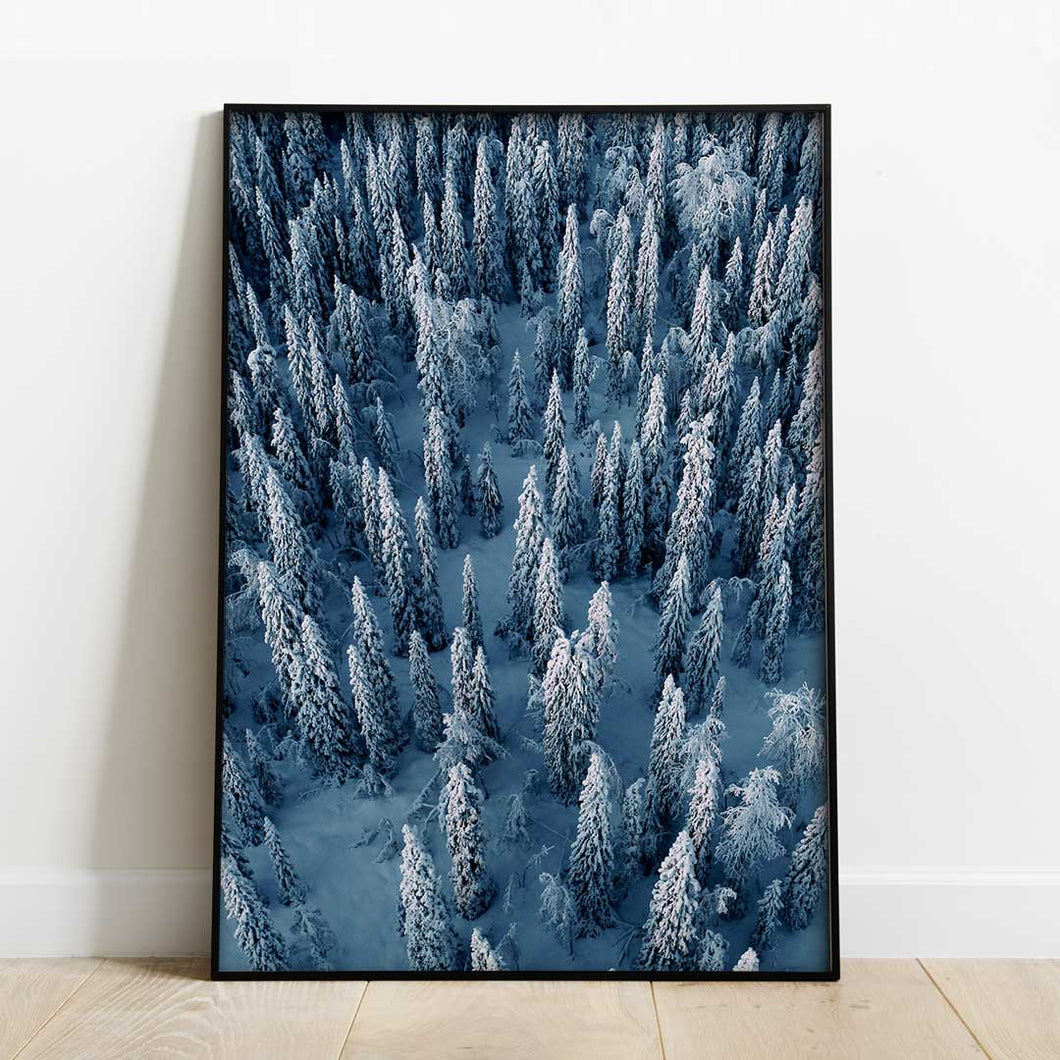 Vinterskog Poster