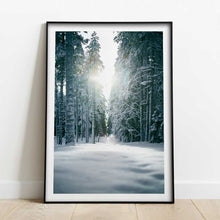 Ladda upp bild till gallerivisning, vinter-snö-i-träd
