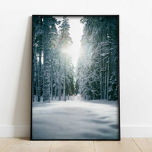 Ladda upp bild till gallerivisning, Vinterträd Poster
