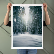 Ladda upp bild till gallerivisning, Vinterträd Poster
